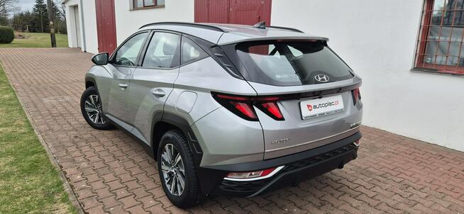 Hyundai Tucson KAMERA-AUTOMAT-LED-MEDIA Paproć - zdjęcie 6