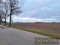 Działka AG  - 7 km od Poznania Tulce - zdjęcie 2