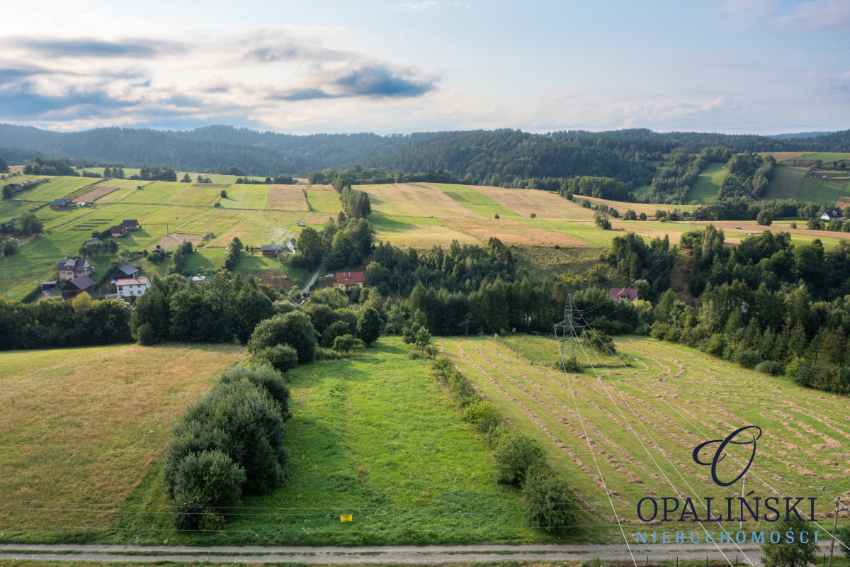 Panorama | Zacisze | Odetchnij w Bieszczadach Bukowiec - zdjęcie 3