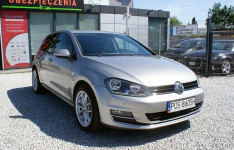 Volkswagen Golf Ostrów Wielkopolski - zdjęcie 2