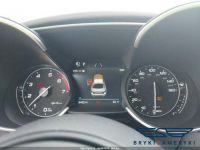 Giulia Ti Warszawa - zdjęcie 11