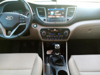 Sprzedam Pionki - zdjęcie 5