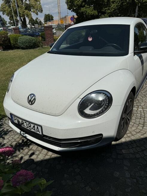 samochód osobowy Volkswagen Beetle 2014 Leszno - zdjęcie 2