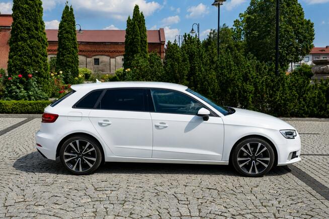 Audi A3 Sadlno - zdjęcie 4