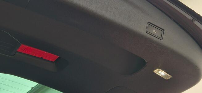 Volkswagen Sharan 7-OSOBOWY-DSG-4 MOTION Paproć - zdjęcie 11