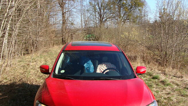 Nissan X - Trail 7 osób Lębork - zdjęcie 5