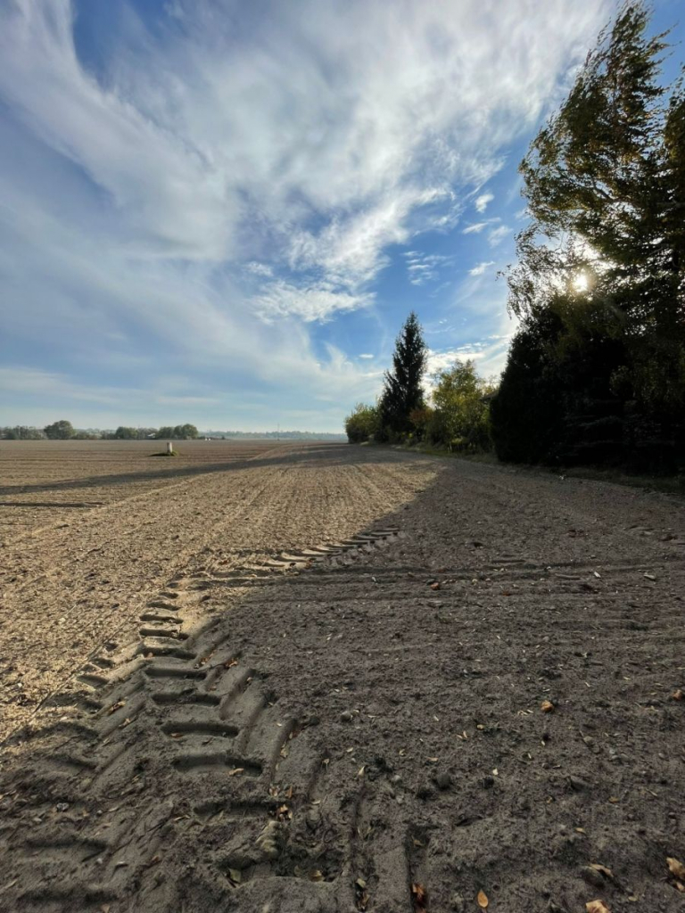 Działka budowlana w spokojnej okolicy! Promienko - zdjęcie 12