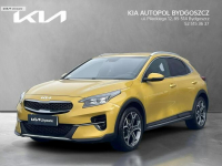 Kia XCeed 1.5 T-GDI 160KM Bussines Line + Salon PL Alufelgi 18