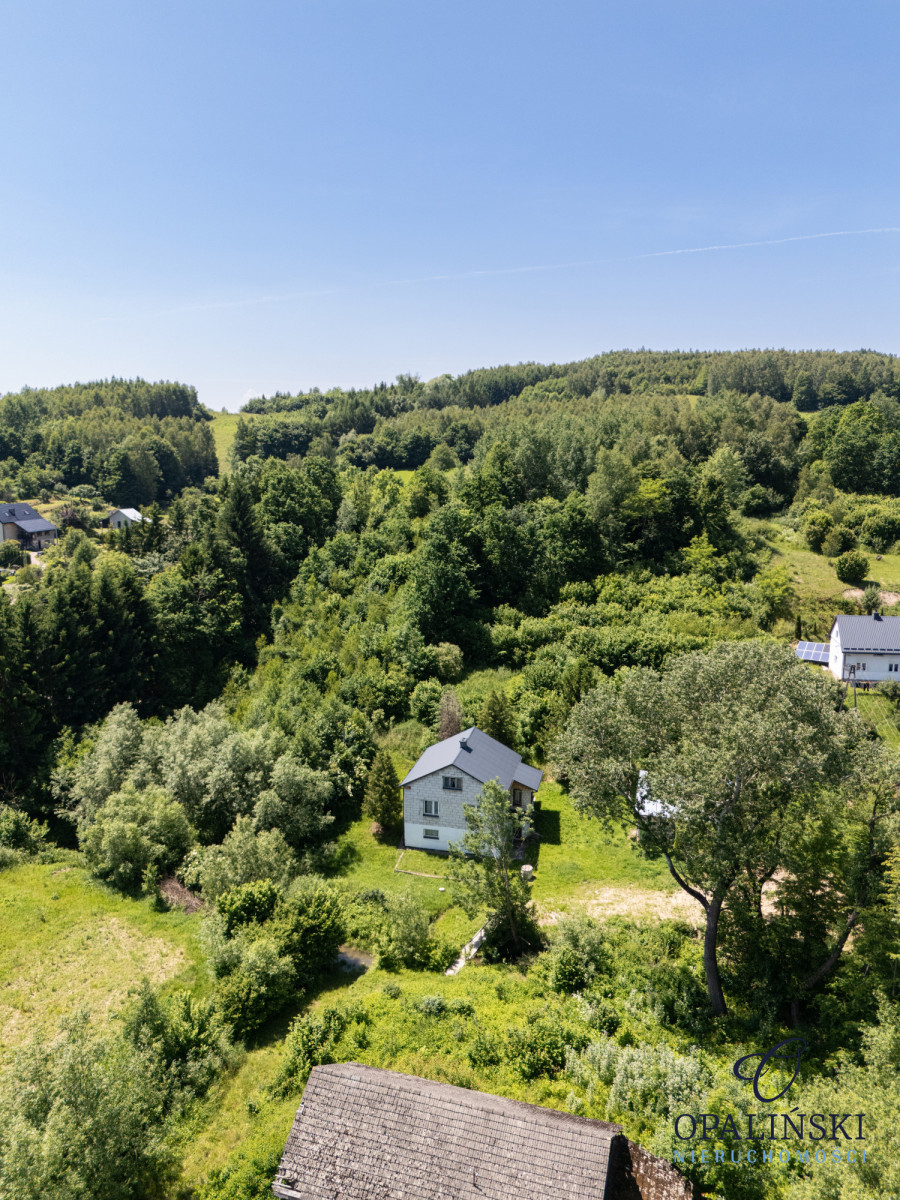 Dom do w otoczeniu zieleni do własnej aranżacji Przedmieście Dubieckie - zdjęcie 5