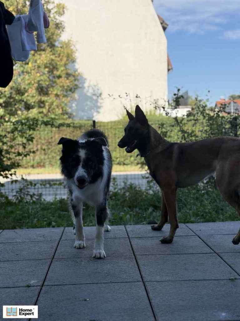 2pok, 36met, okolice Kosmonautów TARAS/OGRÓD (Wrocław) Fabryczna - zdjęcie 5