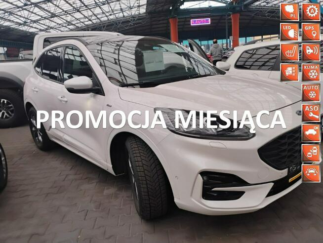 Ford Kuga Mysłowice - zdjęcie 1