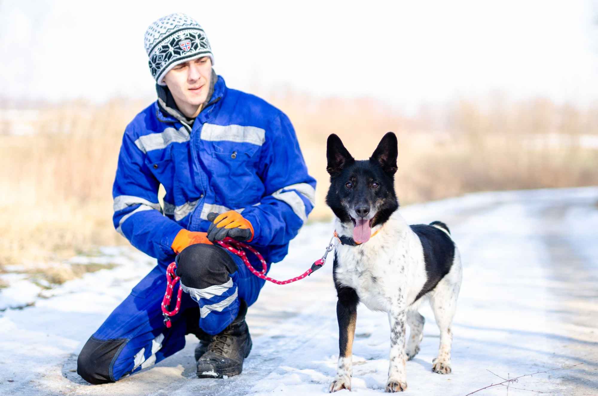 Łatek - pies do rany przyłóż szuka domu! Olsztyn - zdjęcie 4