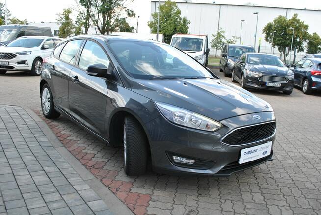 Hatchback GoldX 1,6 Benzyna 105KM ASO Forda Białystok - zdjęcie 4