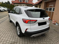 Ford Kuga 1,5 EcoBoost 120KM Orzech - zdjęcie 9