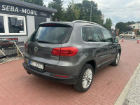 Volkswagen Tiguan CUP, 4Motion, DSG,Gwarancja Sade Budy - zdjęcie 7