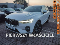Volvo XC 60 Salon Polska  Panorama