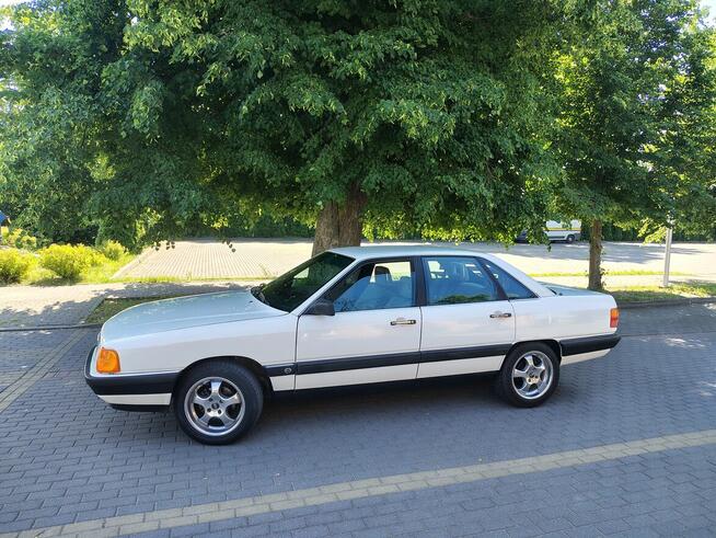 Audi 100 C3 Cygaro Ostrołęka - zdjęcie 3