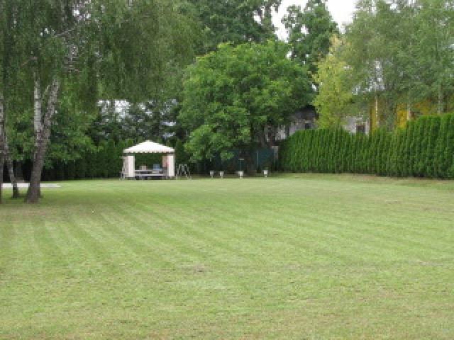 Lokal na wynajem Sulejówek Sulejówek - zdjęcie 11