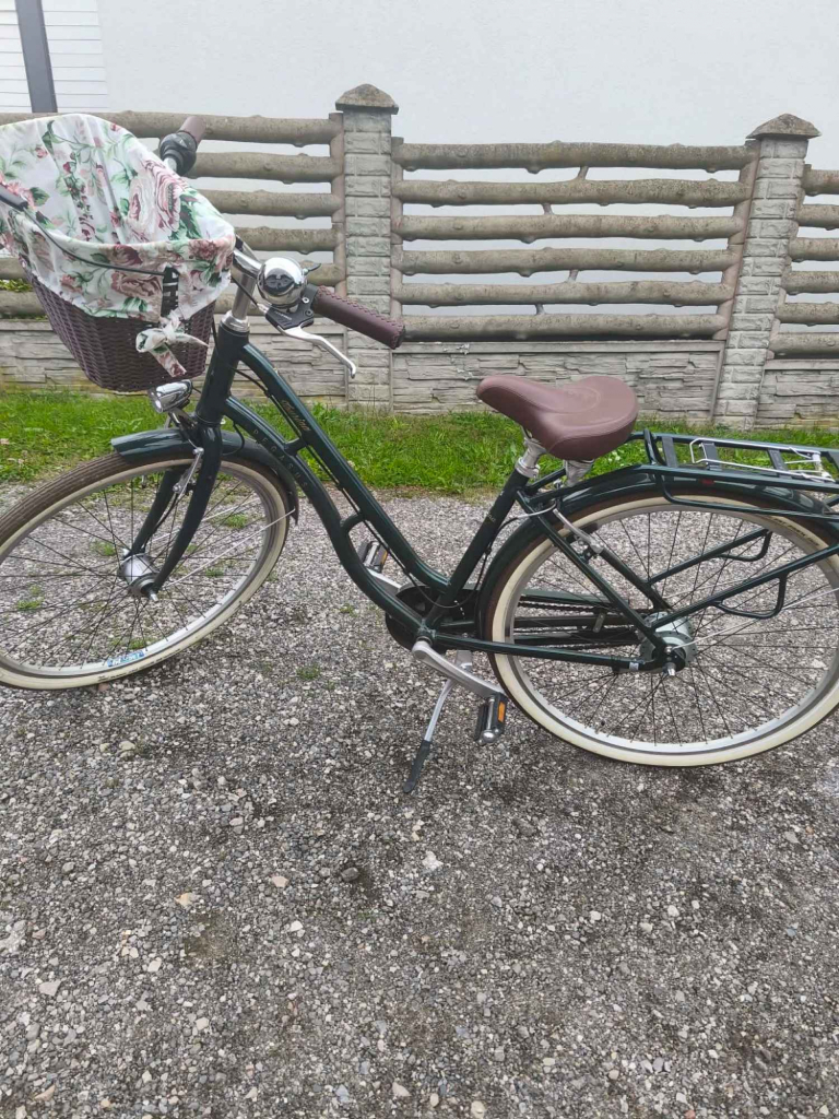 Rower damka Pegasus Radom - zdjęcie 1