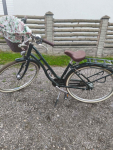 Rower damka Pegasus