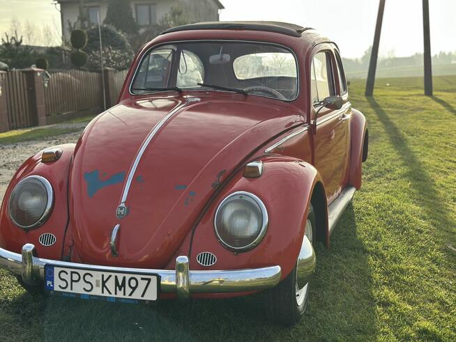VW Volkswagen Garbus dziadek 1959 rok. Zarejestrowany w PL Pszczyna - zdjęcie 7
