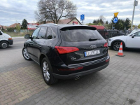 Audi Q5 2.0 TDi 190KM Quattro Skóra Navi Automat Łuków - zdjęcie 7