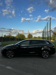 Renault Megane Bose Edition Warszawa - zdjęcie 5