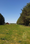 Działka nad jeziorem Rajgrodzkim* Stacze*3001m2* Stacze - zdjęcie 8
