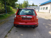 Honda CR-V Bezwypadkowy, stan BDB, ELEGANCE Janów Lubelski - zdjęcie 10