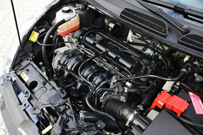 Ford Fiesta 1.25 Benz. 82 KM Idealna! Zobacz Koniecznie!!! Ostrów Mazowiecka - zdjęcie 8