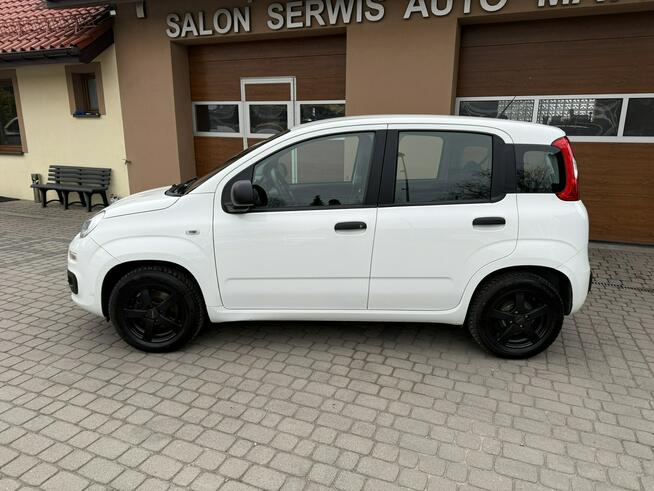 Fiat Panda !! Rezerwacja !! Orzech - zdjęcie 11