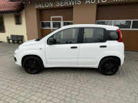 Fiat Panda !! Rezerwacja !! Orzech - zdjęcie 11