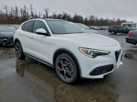 Alfa Romeo Stelvio / 2.0 280KM / 4x4 / Niski przebieg / Tarnów - zdjęcie 2