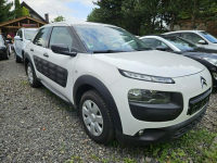 Citroen C4 Cactus Klimatyzacja / Tempomat / Czujniki parkowania Ruda Śląska - zdjęcie 3