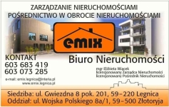 Dom w Niedaszowie k. Jawora, działka 2692m2, dwa garaże, dojazd asfalt Jawor - zdjęcie 12