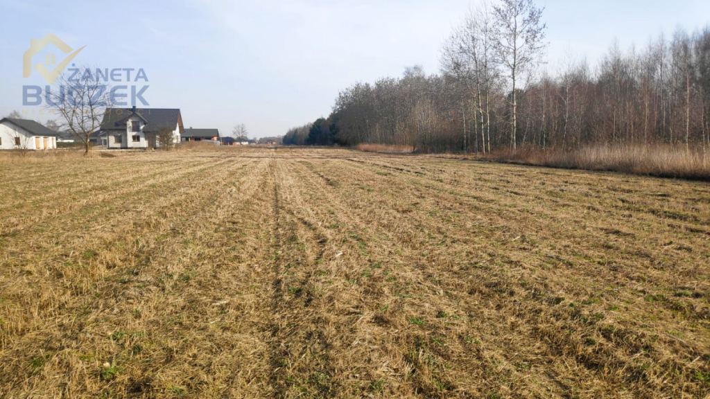Sprzedam działki budowlane w Adamowej Górze Adamowa Góra - zdjęcie 3