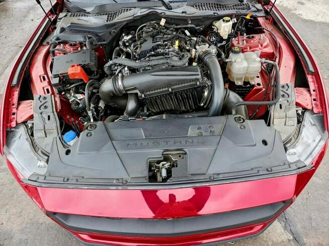 Ford Mustang / 2.3 317KM / Niski przebieg / Automat / Tarnów - zdjęcie 10