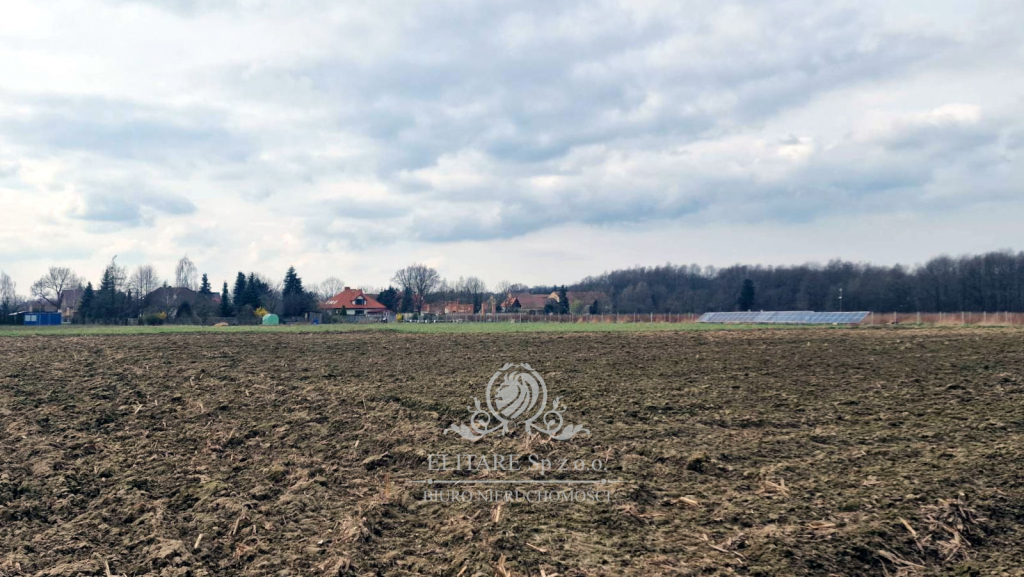 Działka siedliskowa 3000m2 z MPZP gm. Kąty Wrocławskie, Sokolniki Sokolniki - zdjęcie 10
