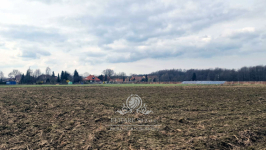 Działka siedliskowa 3000m2 z MPZP gm. Kąty Wrocławskie, Sokolniki Sokolniki - zdjęcie 10