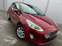 Ford Fiesta *Benzyna*BDB stan*Gwarancja* Zduńska Wola - zdjęcie 12