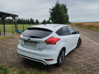 Focus 1.5 150 KM ST-Line Nysa - zdjęcie 5