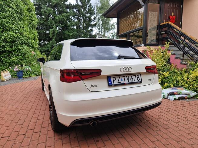 Audi A3 S-Line 1.6 Tdi Xenon Led Bardzo Sliczna Poznań - zdjęcie 5