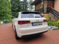 Audi A3 S-Line 1.6 Tdi Xenon Led Bardzo Sliczna Poznań - zdjęcie 5