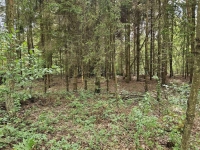 Działka inwestycyjna (3012 met) okolice Wrocławia (Ostrowina) Ostrowina - zdjęcie 4
