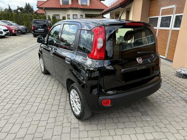 Fiat Panda 1,2 69KM  Klimatyzacja Orzech - zdjęcie 9