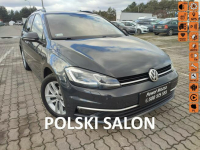 Volkswagen Golf Salon Polska bezwyoadkowy