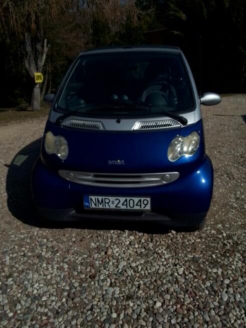 Sprzedam Nowe Bagienice - zdjęcie 1