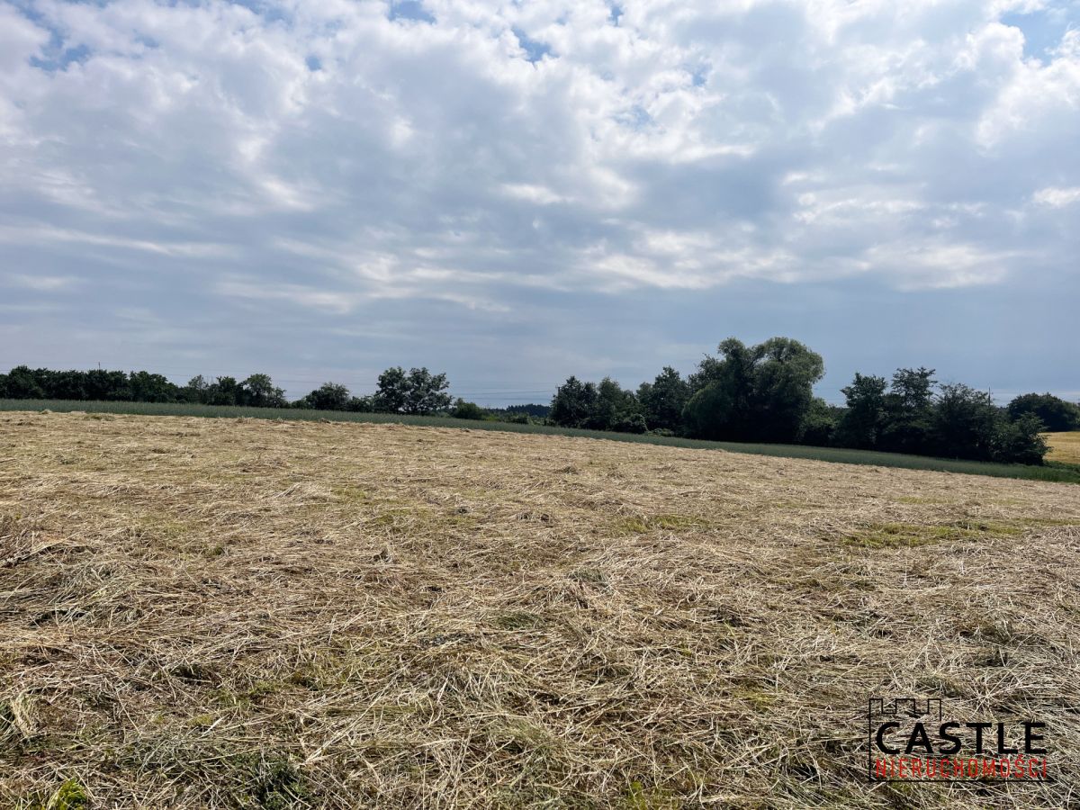 Działka na sprzedaż Golęczewo Golęczewo - zdjęcie 3