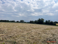 Działka na sprzedaż Golęczewo Golęczewo - zdjęcie 3