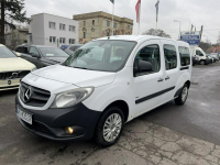 Citan Tourer dla Niepełnosprawnych inwalida rampa Model 2018 Syców - zdjęcie 5